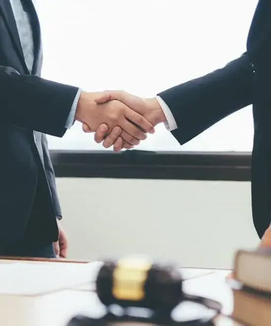 Visa Giám hộ - Thị thực 590